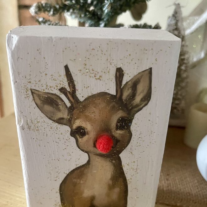 Red Nosed Reindeer and Cat