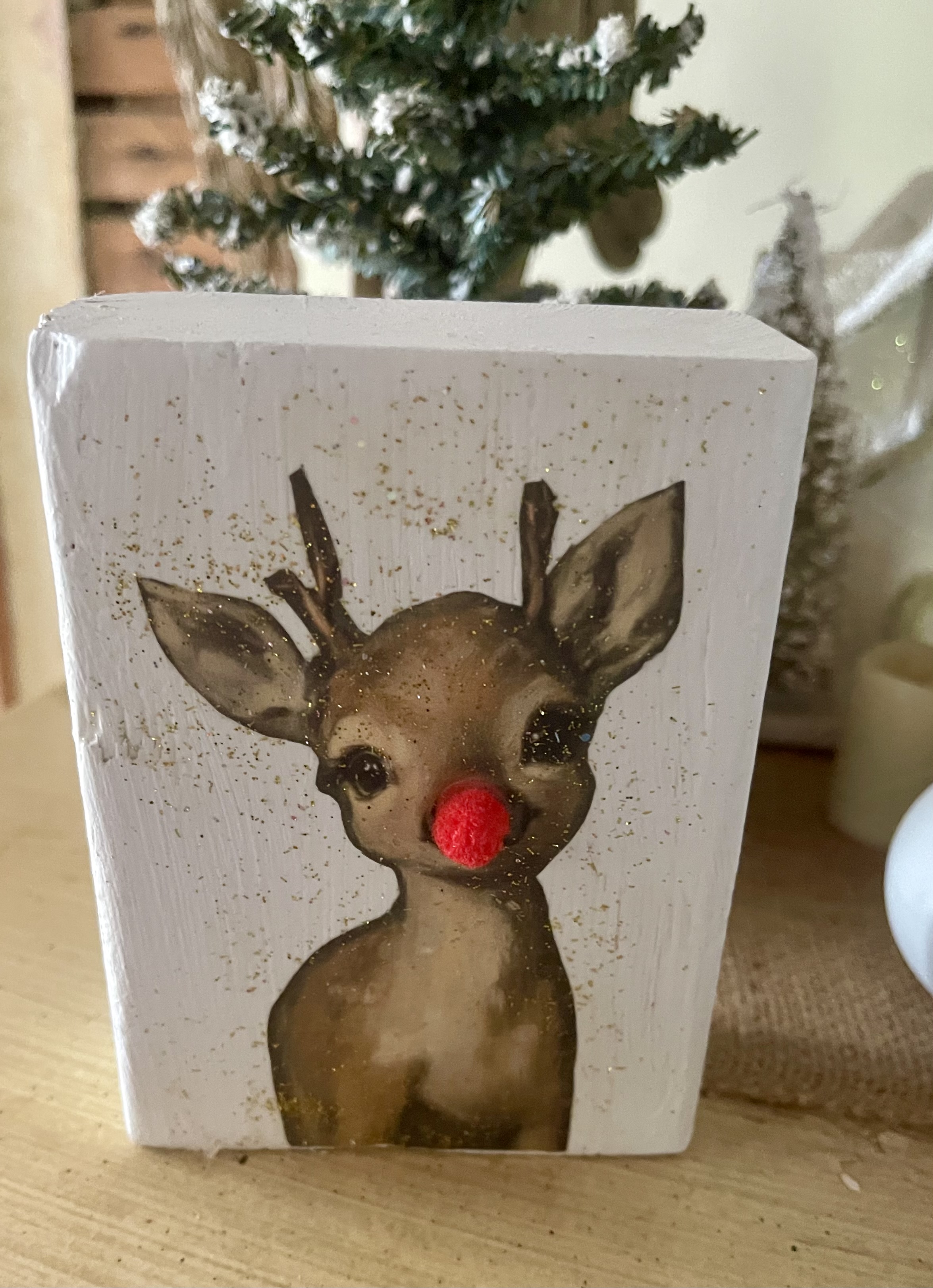 Red Nosed Reindeer and Cat